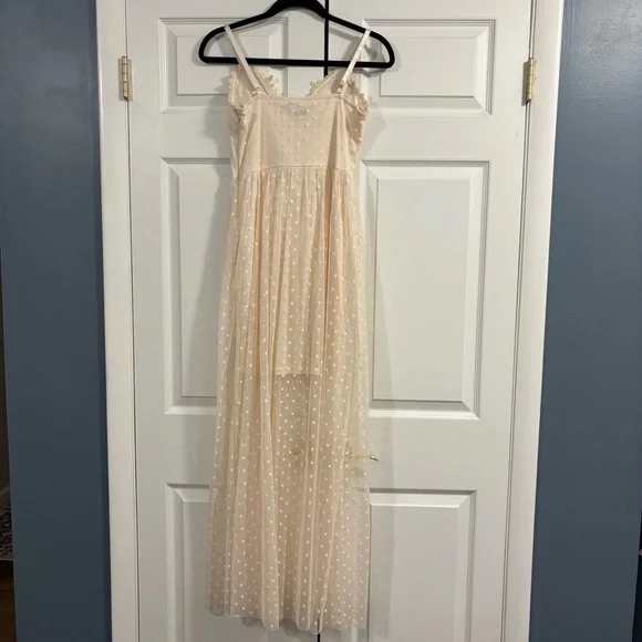 Entry Ivory Embroidered Maxi Dress with Sheer Polka Dot Overlay - Picture 9 of 15
